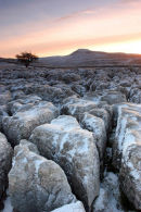 07-0810 Dawn Winter Light on a Karst Landscape with Ingleborough as a Backdrop, Scales Moor, Yorkshire Dales